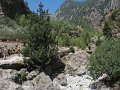 IMG_2184 - Copy